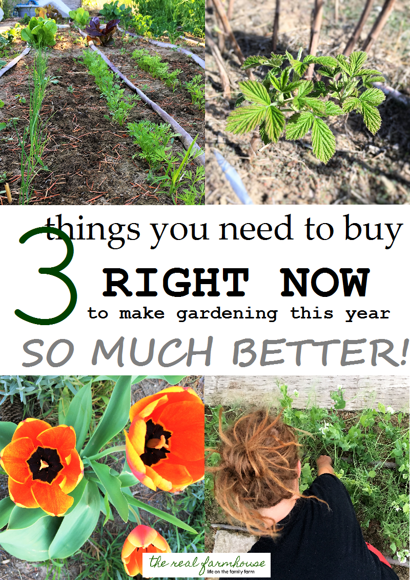 3 things you need to buy RIGHT NOW to make gardening this year SO MUCH BETTER! 