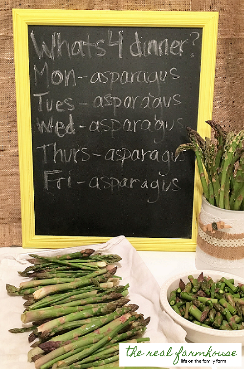 What to do with ALL THAT asparagus .... FAST!!! How to freeze asparagus super fast.