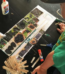 Super cool dream garden planning activity for all ages