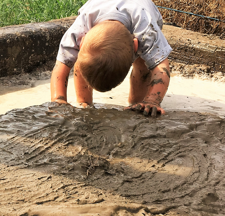 Welcome to The Real Farmhouse, where it's not always pretty, in fact most of the time it's covered in mud or oil, but it is real! Real gardening, real homeschooling, and real farm life. Have a look around!