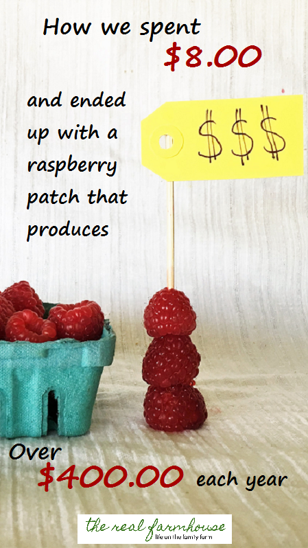 how much are YOUR raspberries worth?