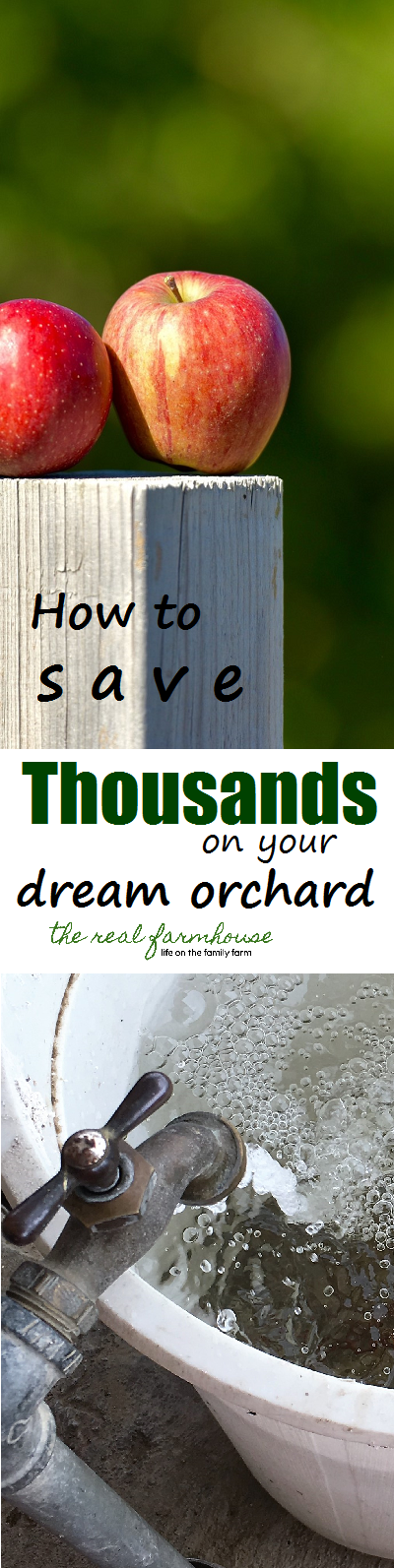 How to save thousands on your dream orchard. Don't wait! Planning ahead saves the big bucks.