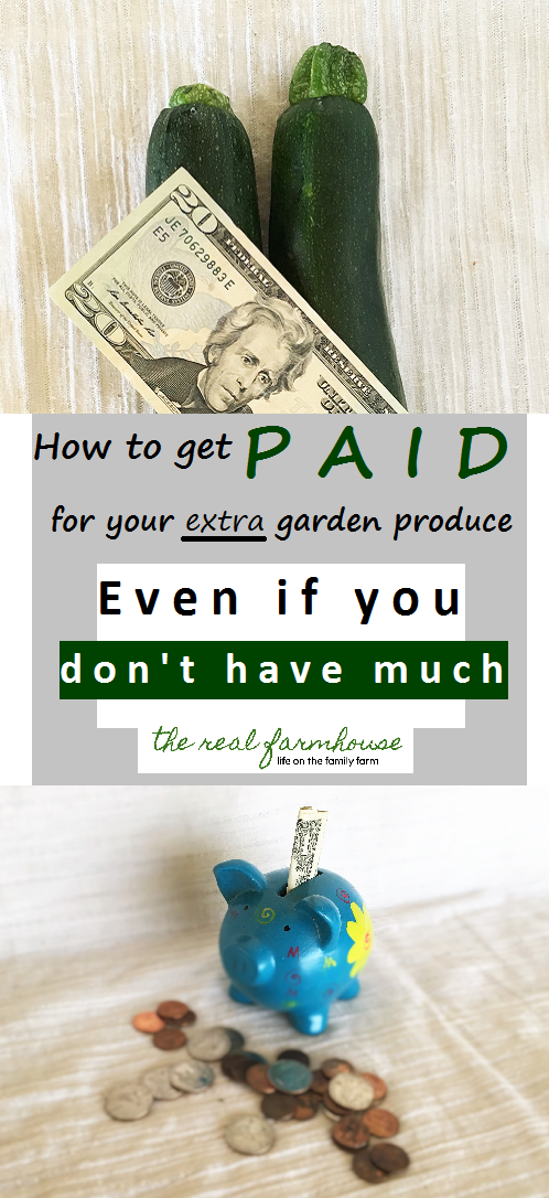 Hate seeing your extra produce go to waste? why not get paid for it!