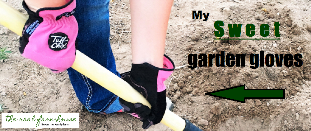 6 things I wish I knew before I started a garden.