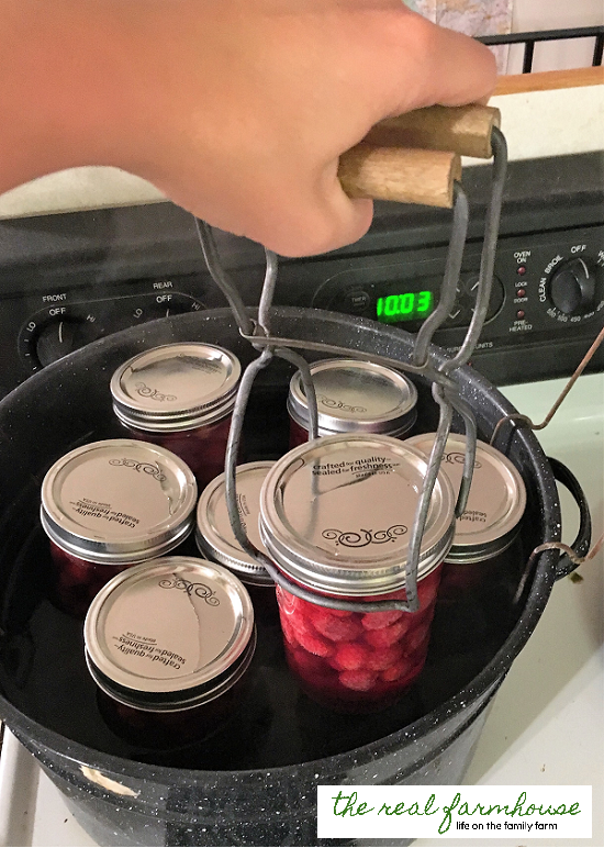 How to can incredible raspberries in 4 easy steps. Soooo delicious! Bottles of these sell for $20-$35 bucks!