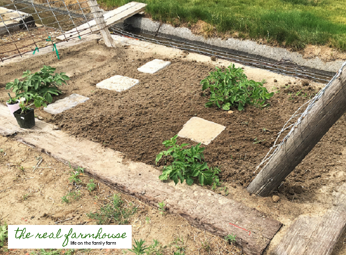 How long does it REALLY take to maintain a large garden? This one is 3000 square feet.