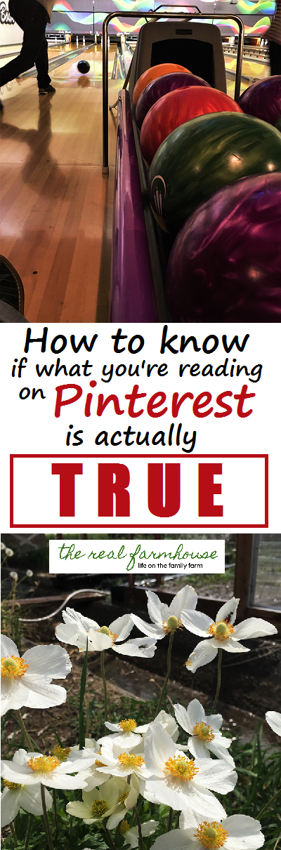 How to know if what your reading on Pinterest is actually true
