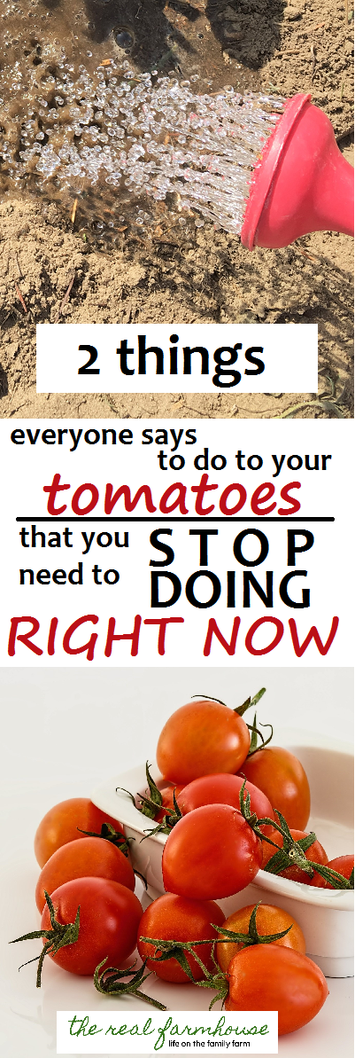 be warned what tomato advice may not be entirely correct