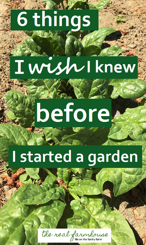 good advice when for when you're starting your first garden or just starting a new one.