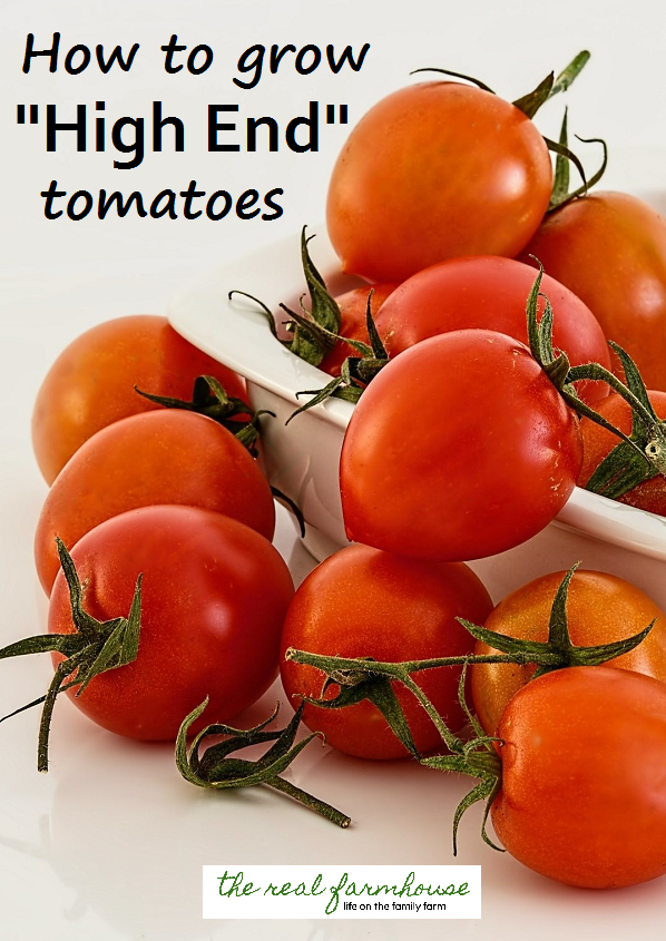 for your tomatoes to be classified as "high end" there are a few things you need to do