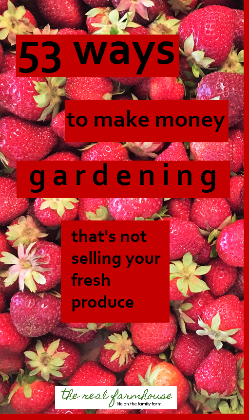 Online opportunities, classes, potpourri, pictures, coaching. Huge list of ways to make money with your garden. 
