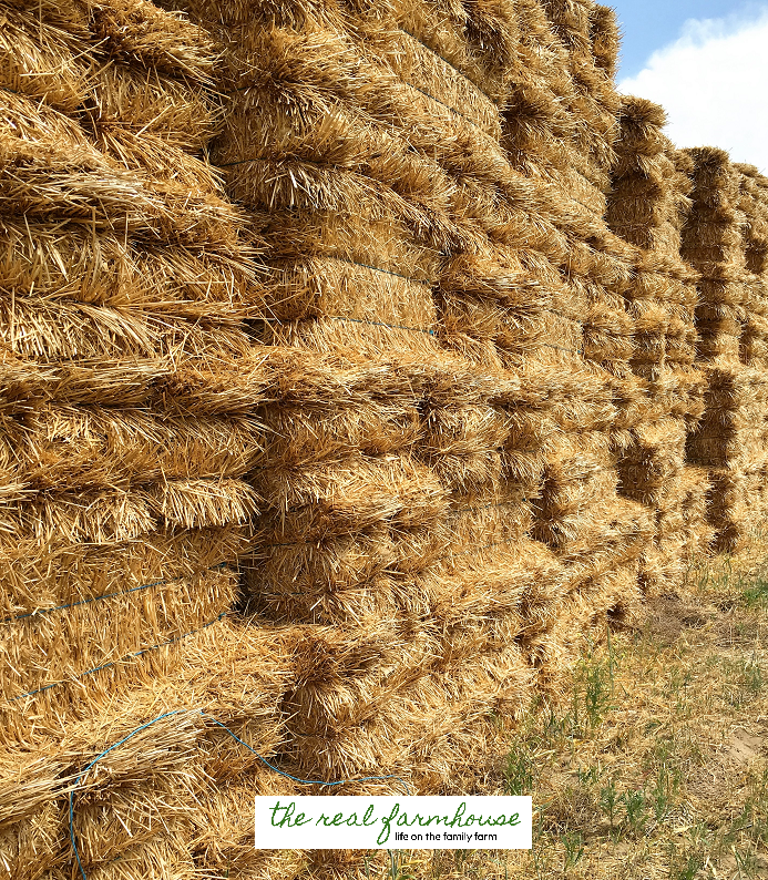 the perks of living on a farm. Straw bales happen to be a very popular decoration these days. I know where you can find 1000