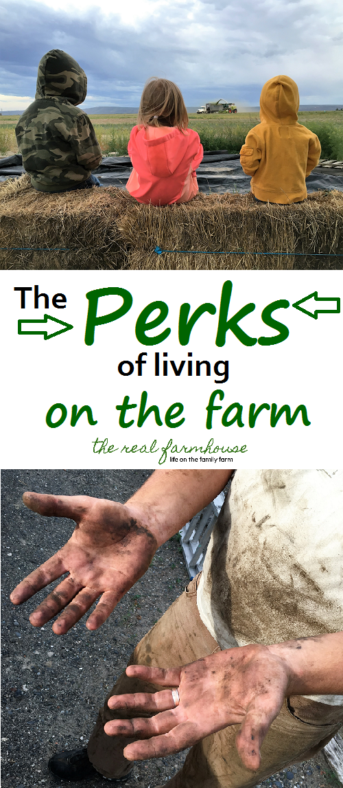 Always plenty of "reality tv" for the kiddos, farming is an acceptable excuse for really bad tan lines and going out in public unrecognizably dirty, and other "awesomeness's" of life on a farm