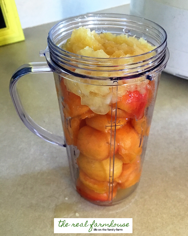 How to make tropical pinapple apricot fruit roll ups. Perfect kid snack