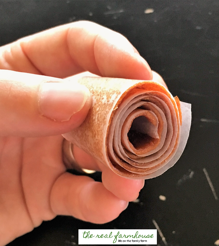 How to make tropical pinapple apricot fruit roll ups. Perfect kid snack