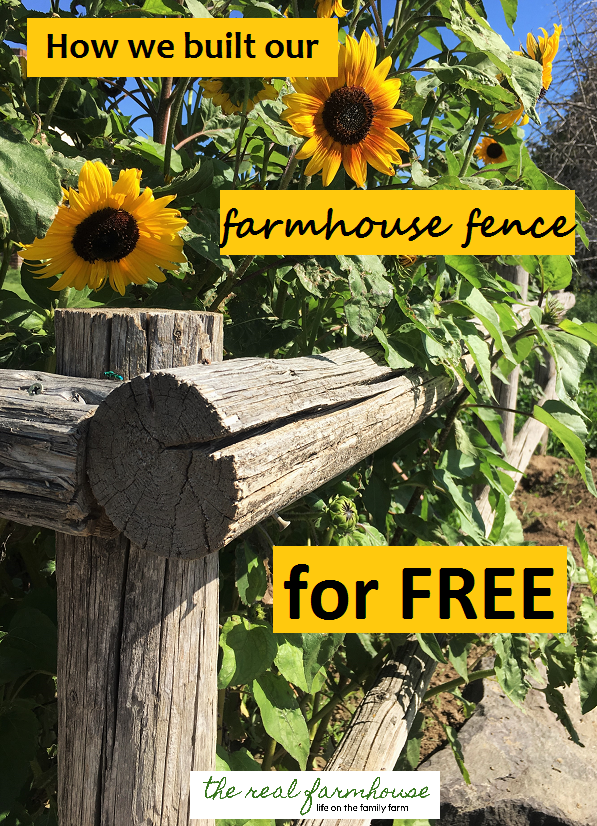 free fence, free plants, free landscape!