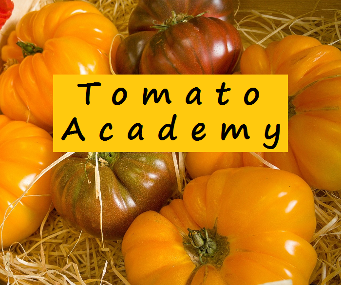 The Tomato Freaks Guide to choosing, growing, and selling "high end" tomatoes