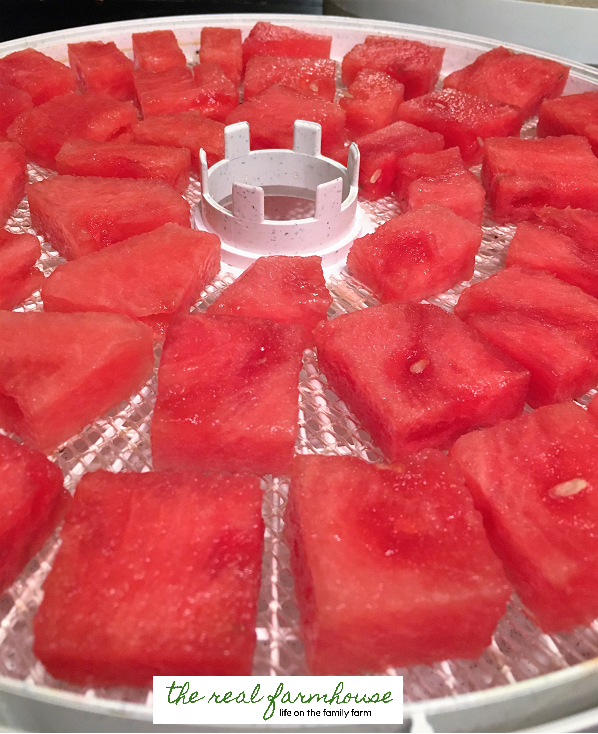 How to make watermelon chips