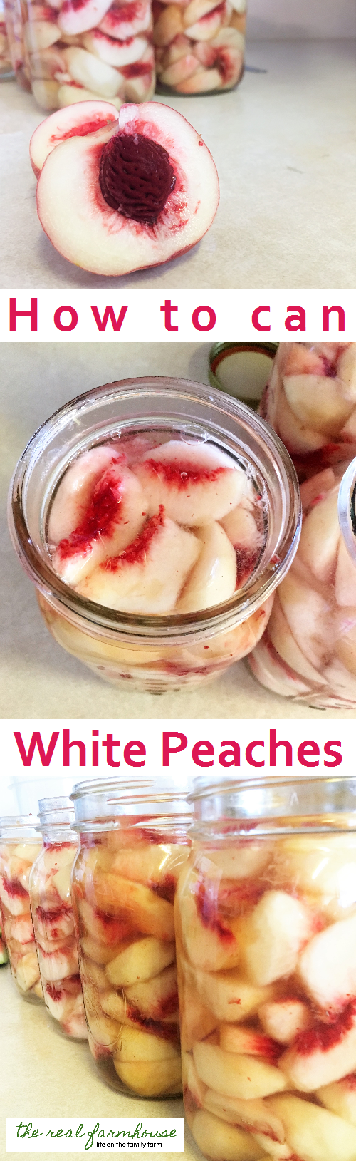 So beautiful and so delicious! How to can white peaches