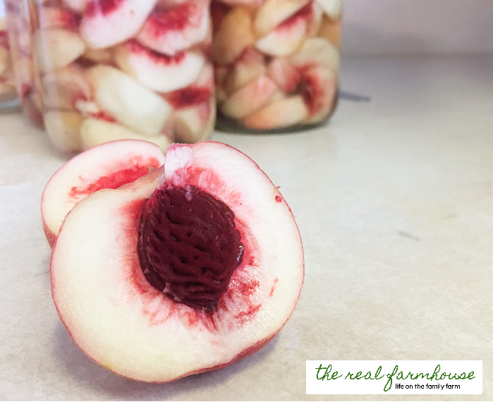 How to can white peaches. So beautiful and so delicious!