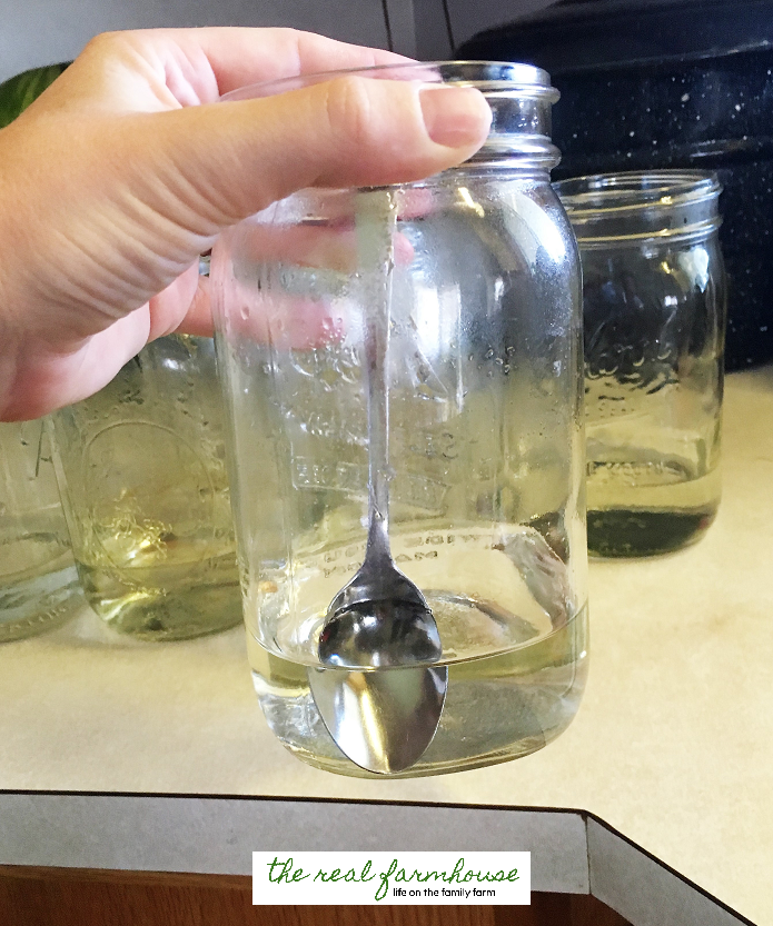 How to can white peaches. Canning tip: Make the syrup directly in the jar by putting an inch of hot water in the bottom and adding 1/4 cup of sugar. Stir to dissolve. Way less messy and you skip the step of making syrup in a pot.