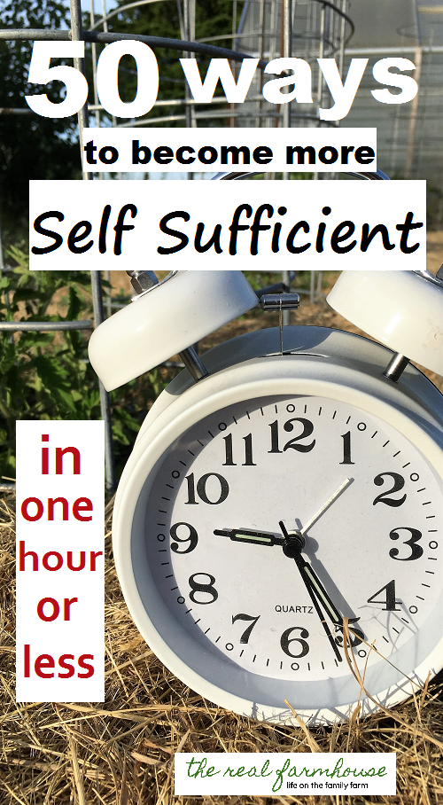 What Self-Sufficient Living Is About And 8 Tips On How To Achieve It
