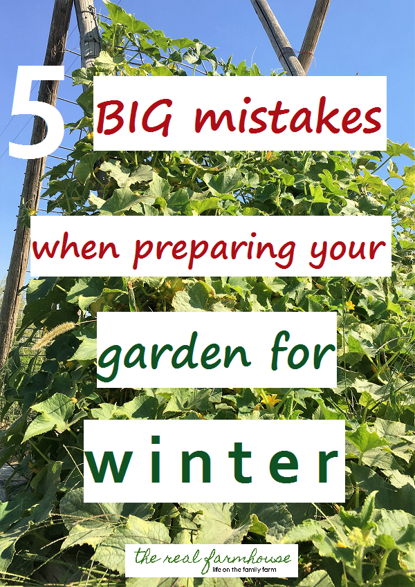 avoid these 5 things when preparing your garden for winter and your garden will thank you