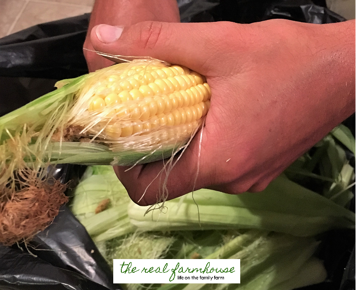 How to freeze corn, the easy way