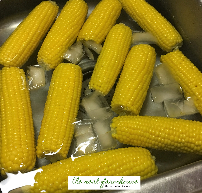 How to freeze corn, the easy way