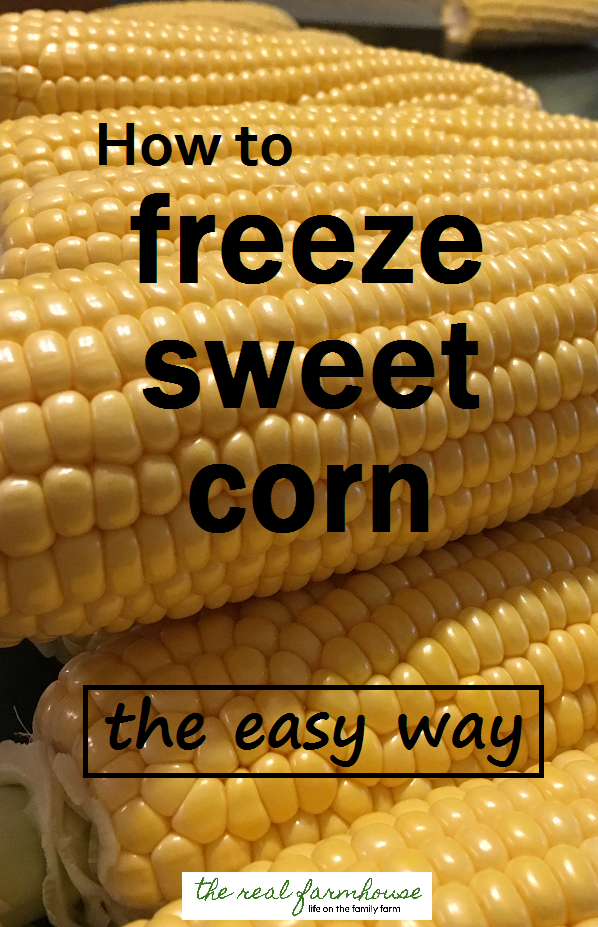 How to freeze sweet corn the easy way- fast, easy, and so much better than store bought frozen corn