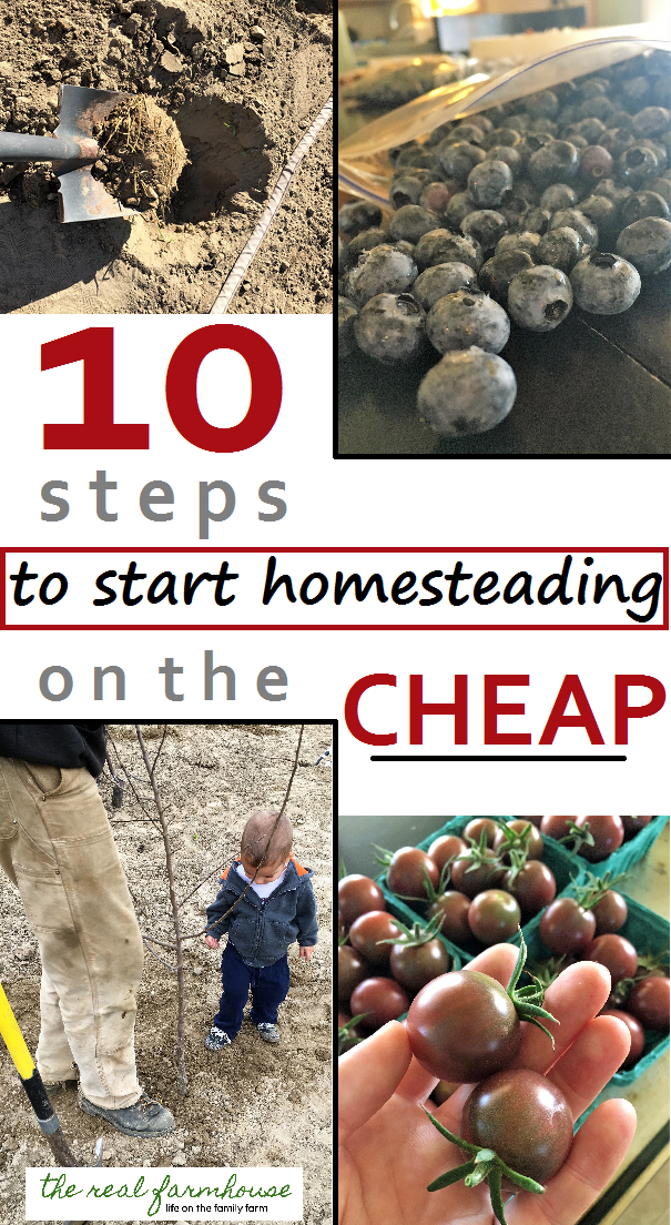 10 steps to start homesteading on the cheap