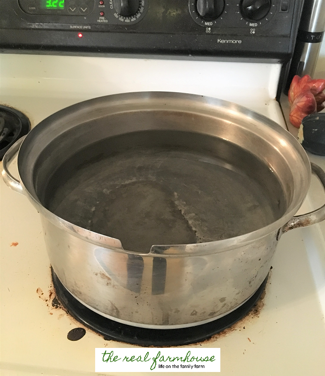 How to make your own organic grape juice. 