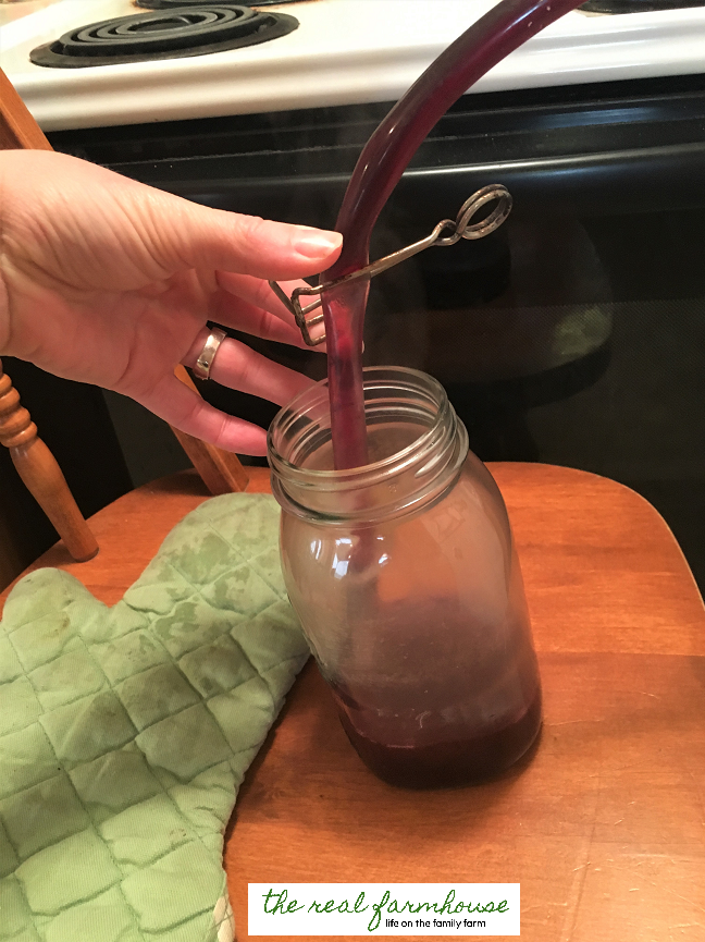 How to make your own organic grape juice. 