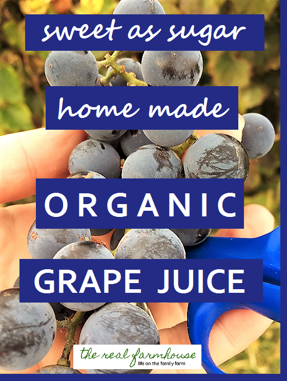 http://www.therealfarmhouse.com/wp-content/uploads/2016/12/organic-grape-juice-PIN-2.png