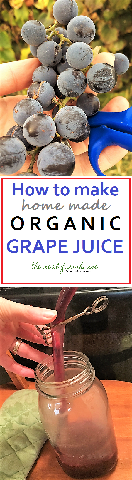 How to make home made organic grape juice. 