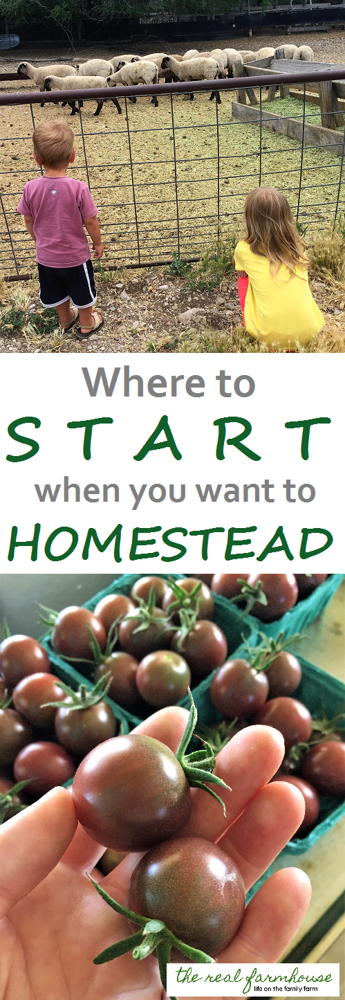 Where to start when you want to homestead. 10 steps to homesteading, on the cheap