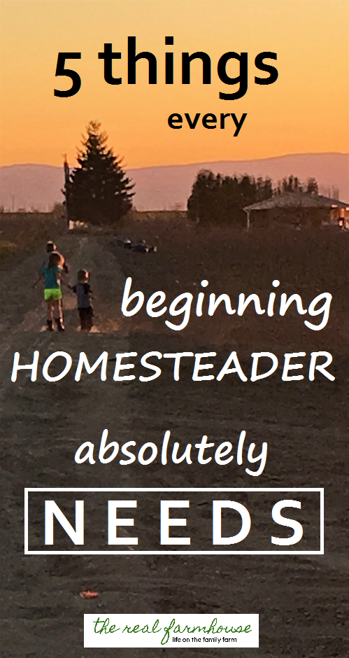 The 5 things every beginning homesteader needs. What I use all the time, what pays for itself in record time, and what I simply can't live without