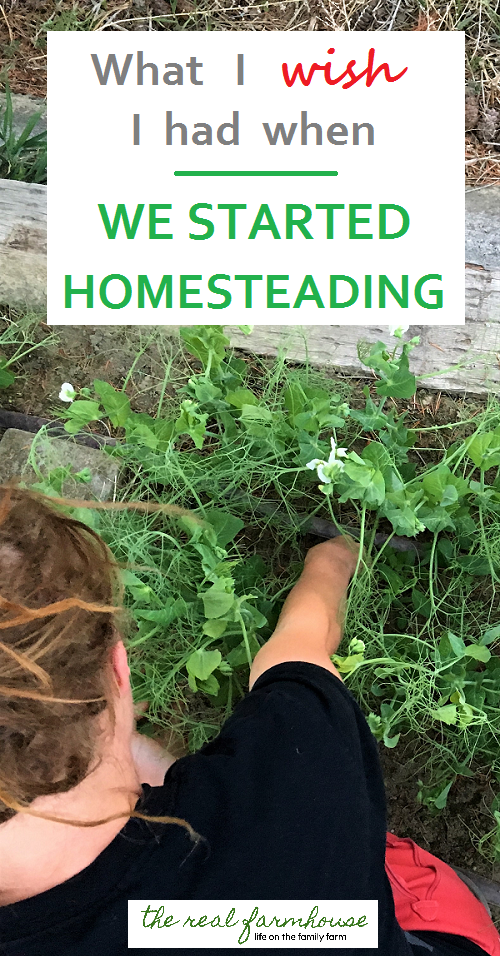 The 5 things every beginning homesteader needs. What I use all the time, what pays for itself in record time, and what I simply can't live without