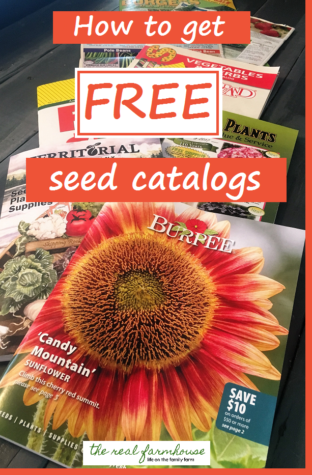 How to get free seed catalogs. 36 seed companies that send free seed catalogs. 
