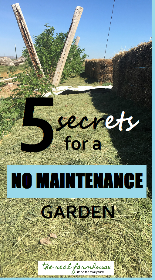 Great advice for planning a no maintenance garden! 5 secrets and how to implement them in the garden. 