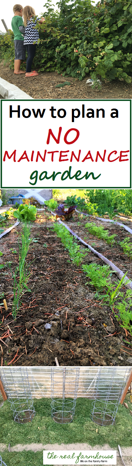 Great advice for planning a no maintenance garden! 5 secrets and how to implement them in the garden. 