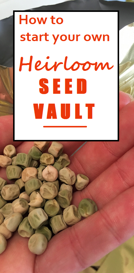 instant seed vault! quick and easy way to start your own heirloom seed vault for prepping or food storage.