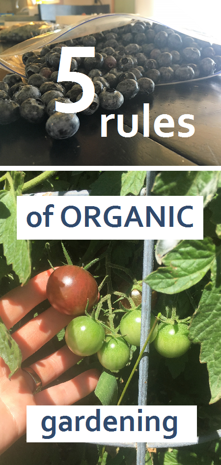 excellent organic gardening information. How to make the switch to organic. great advice