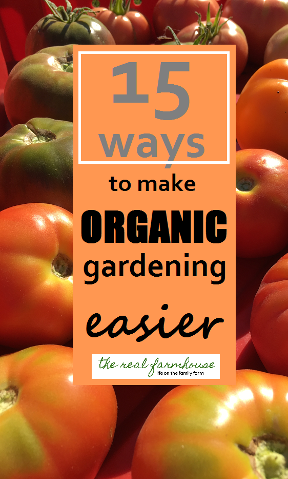 excellent organic gardening information. How to make the switch to organic. great advice