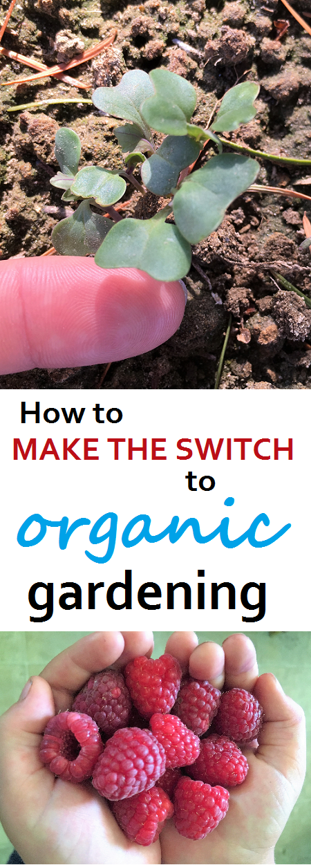 excellent organic gardening information. How to make the switch to organic. great advice