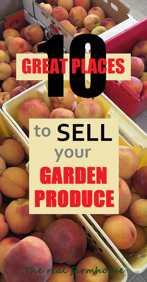 10 great places to sell your garden produce. How to grow a garden for profit