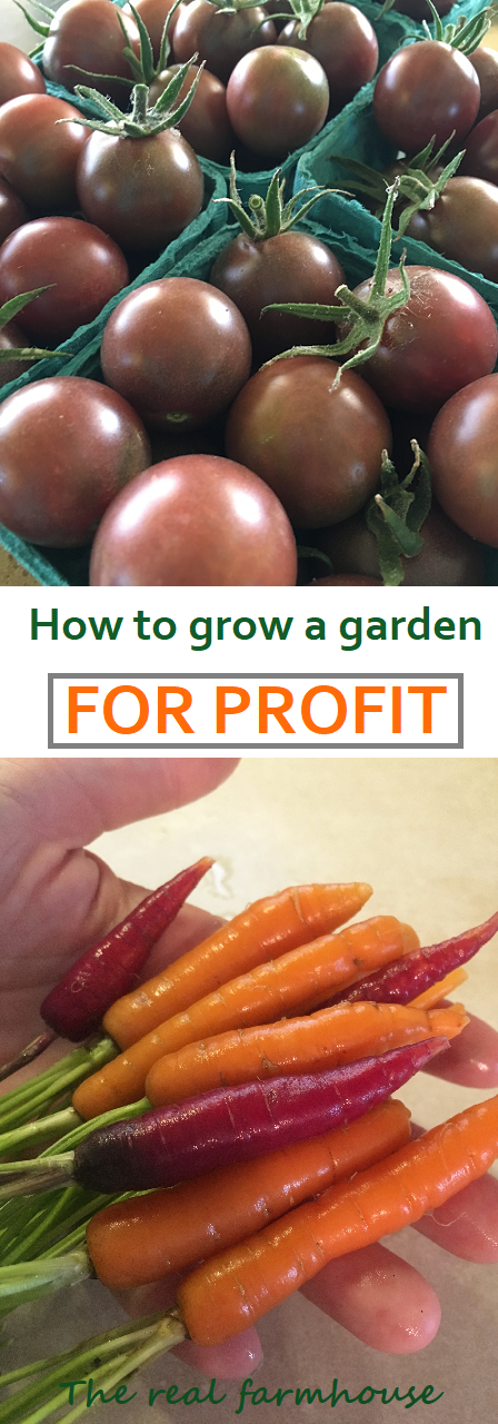 great easy simple information on how to grow a garden for profit. 3 simple steps to start making money with your produce