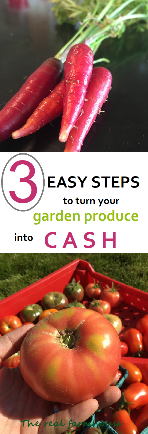 simple easy advice on how to start selling your garden produce. How to grow a garden for profit