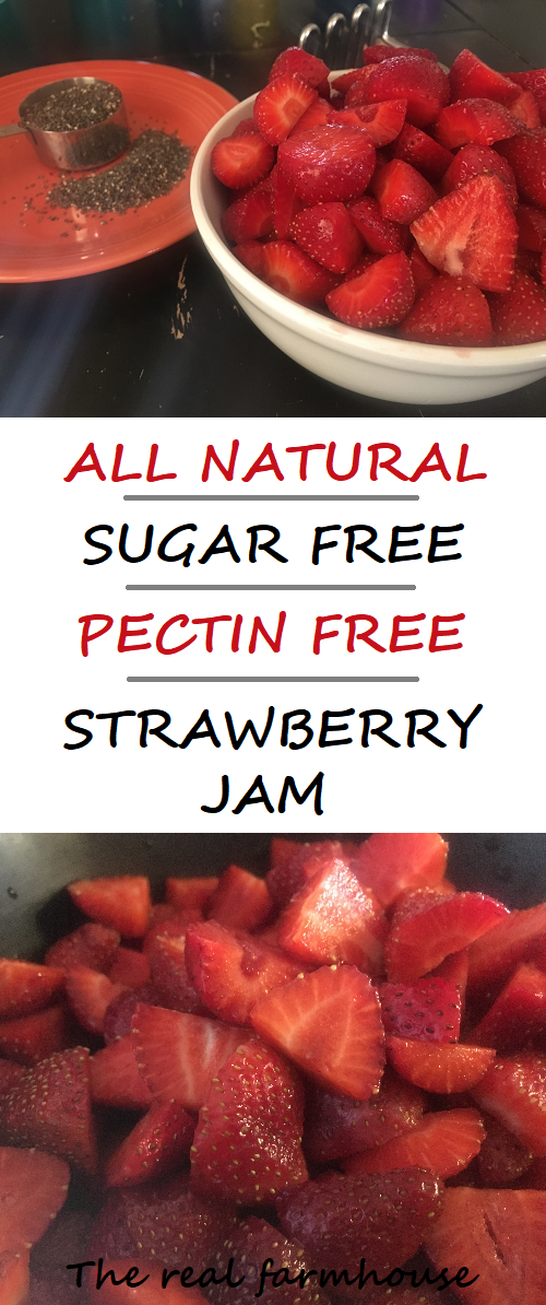 Stupid easy chia seed and strawberry jam. Fast, fresh, all natural, sugar free, delicious homemade freezer jam