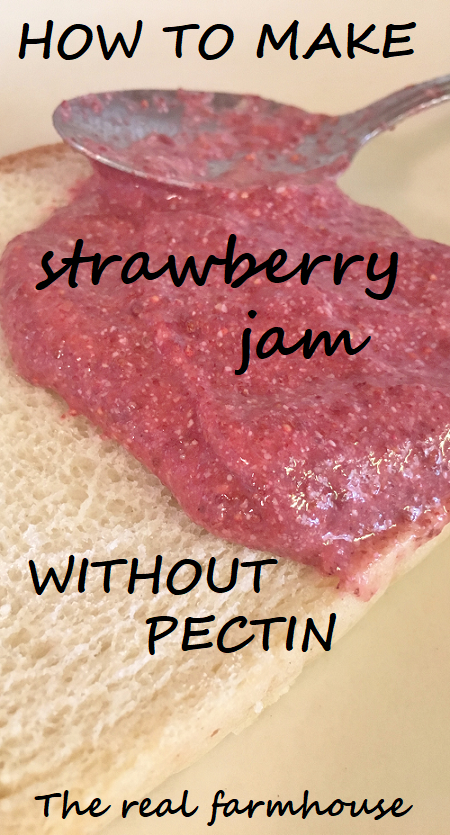 Stupid easy chia seed and strawberry jam. Fast, fresh, all natural, sugar free, delicious homemade freezer jam